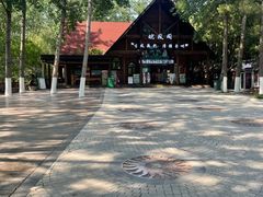 -合肥滨湖国家森林公园