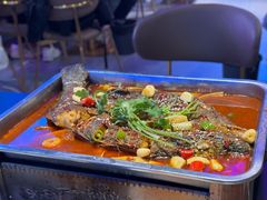-沈胖子音乐烤吧·炒菜·龙虾(环城东路店)