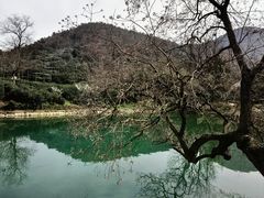 -树山生态村