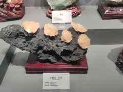 -湖南省地质博物馆