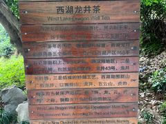 -十八棵（老龙井）御茶园(老龙井店)