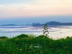 -漳州滨海火山岛自然生态风景区