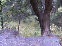 -牛郎织女景区