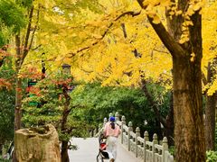 -上海海湾国家森林公园