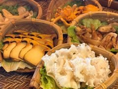 -滇野云南野生菌餐厅(陕西南路店)