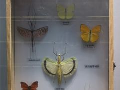 -大连自然博物馆