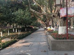 -浙江省杭州高级中学(贡院校区)