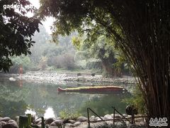 -成都市活水公园