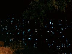 -花笙记打边炉·煲仔饭(五大道店)