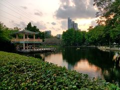 -晓港公园