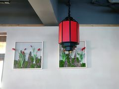 -鸽子窝(宋庄店)