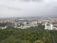 -杭州半山国家森林公园