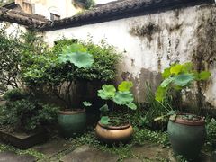 -院子餐厅·大锅菜·老杭帮(桥西直街店)