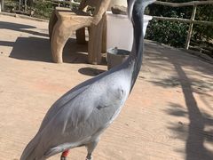 -哈尔滨北方森林动物园