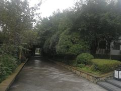 -张坝桂圆林公园