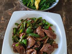 -大班家政月嫂育儿嫂(深圳NO.1店)