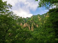 -王顺山国家森林公园
