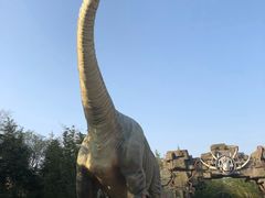 -青岛方特梦幻王国