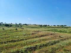 -塞罕坝国家级自然保护区