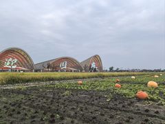 -中国天府农业博览园