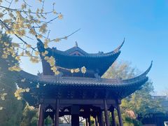 -钱王祠