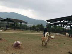 -无锡动物园·太湖欢乐园