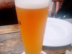 小麦啤酒-Paulaner·德国帕拉娜自酿啤酒餐厅(海上世界店)