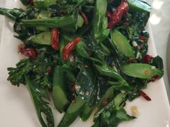 炝炒芥菜-那达慕蒙古风味酒楼