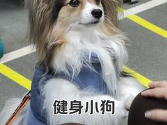 -VPsmart私教健身工作室(新华路旗舰店)