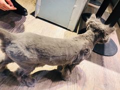 -小时光咖啡馆(开森度假森林店)