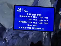 -海合安青岛极地海洋公园