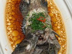 老虎斑-渔人码头(中南店)