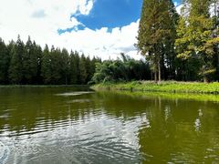 -黄海国家森林公园