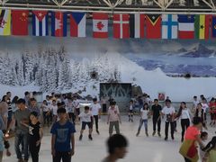 -世界之窗阿尔卑斯冰雪世界