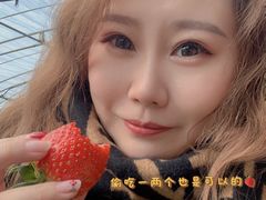 -甜心庄园·甜心草莓采摘园(西青中北店)