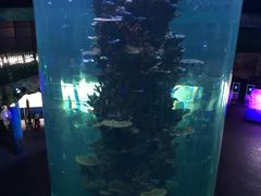 -青岛嘉年华主题乐园