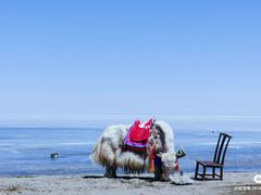 -青海湖国家重点风景名胜区