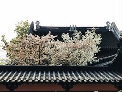 -寒山寺