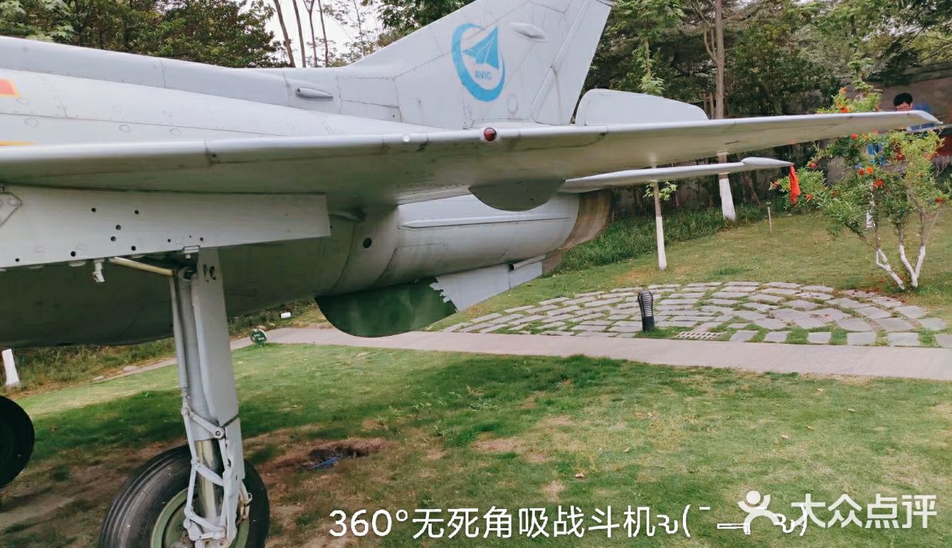 给我最爱的威龙打call