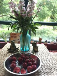 -Union瑜伽健康管理中心