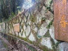 -九曲溪竹筏码头