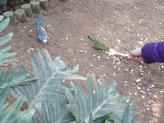 -南宫温泉水世界