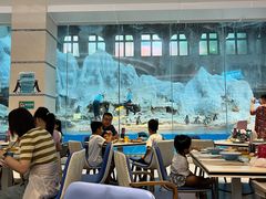 -帝企鹅自助餐厅•儿童岛•真企鹅(长隆企鹅酒店)