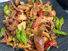 -蘑统田下·野生菌火锅