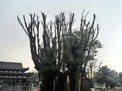 -赵州桥景区