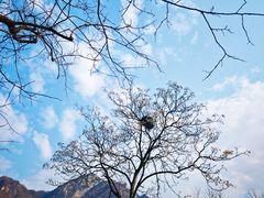 -秦岭终南山世界地质公园翠华山景区