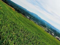 -山王坪喀斯特国家生态公园