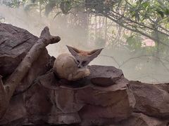 -长鹿旅游休博园