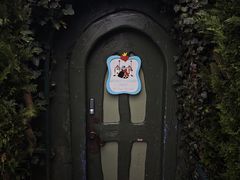 -巴黎迪士尼乐园