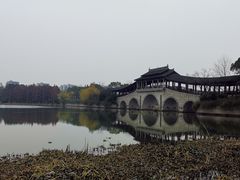 -长广溪湿地公园
